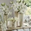 Collection Bulbes Pour Bouquets Modernes Blancs 1 Collection Bulbes Pour Bouquets Modernes Blancs -Arbres Fruitiers Soldes Boutique Collection bulbes pour bouquets modernes blancs 18974 1